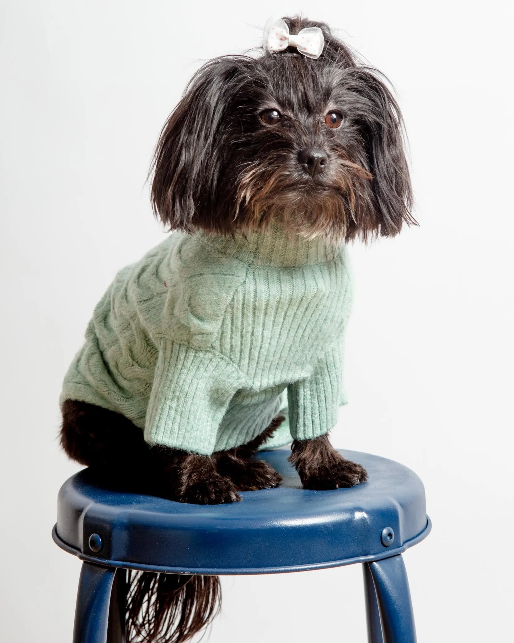 Fuzzy Knit Dog Turtleneck Sweater in Heathered Jade