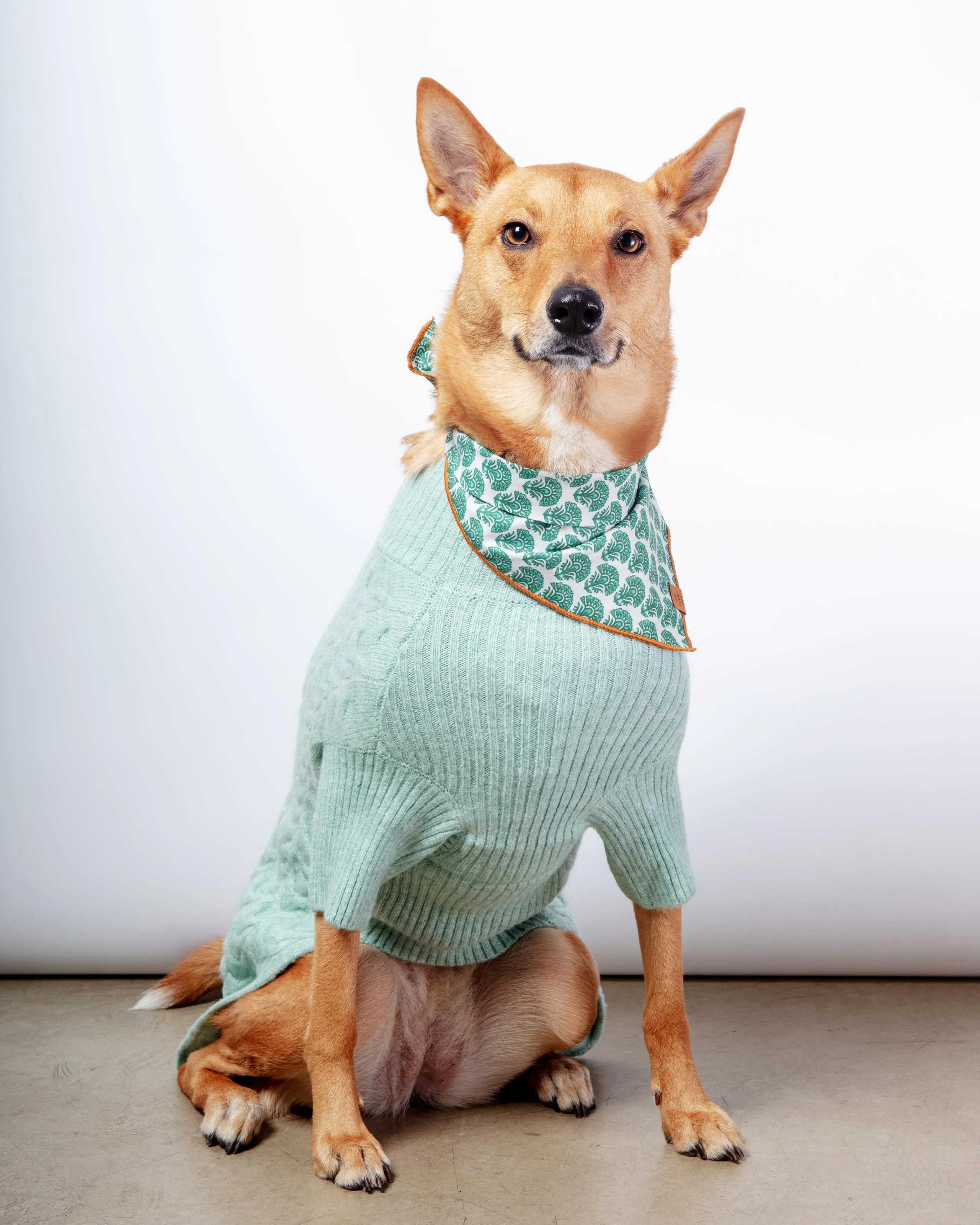 Fuzzy Knit Dog Turtleneck Sweater in Heathered Jade