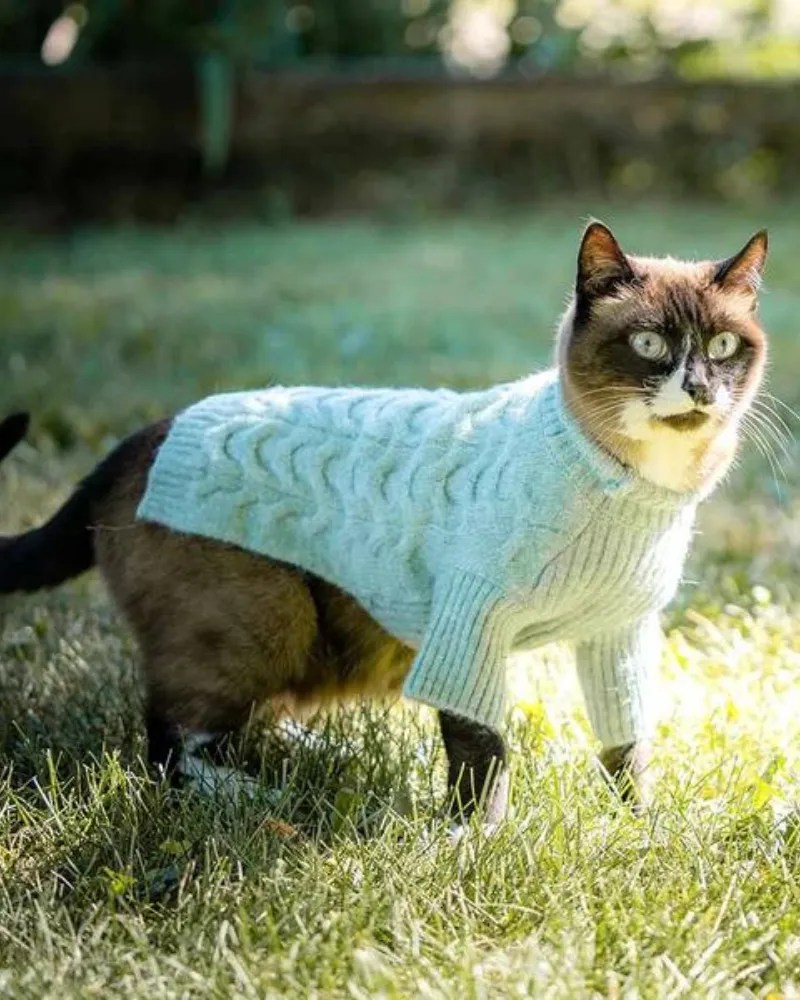 Fuzzy Knit Dog Turtleneck Sweater in Heathered Jade